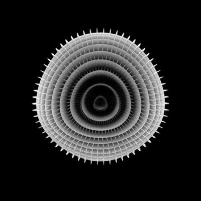 sempiternal