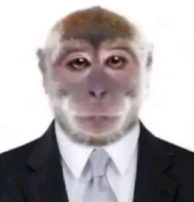 socialcr1t