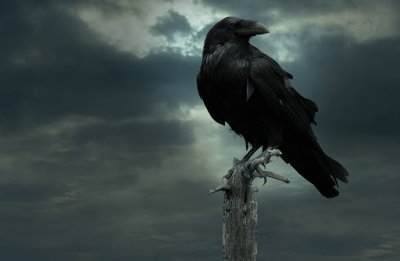 Ater Corvus