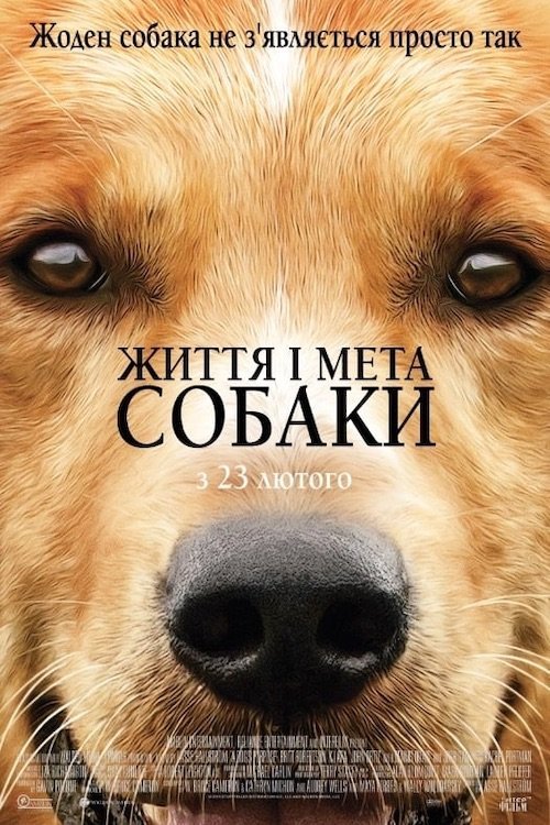 Постер до Життя і мета собаки