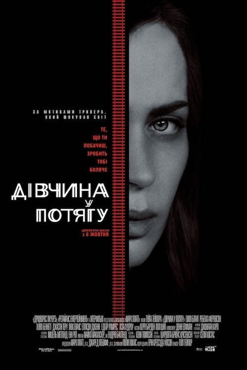 Постер до Дівчина у потягу