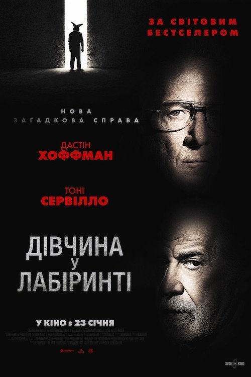 Постер до Дівчина у лабіринті