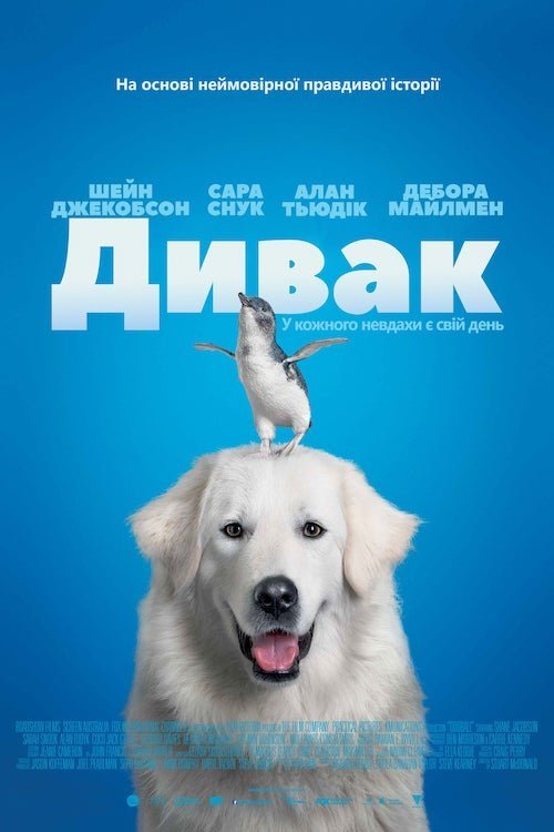 Постер до Дивак