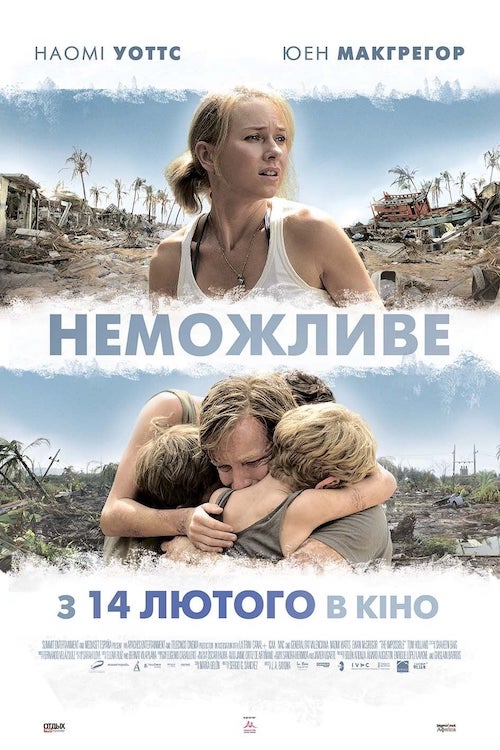 Постер до Неможливе