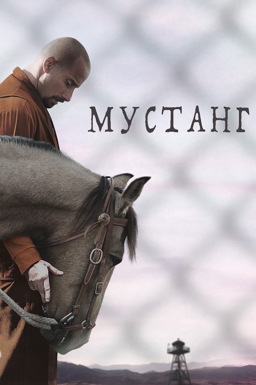 Постер до Мустанг