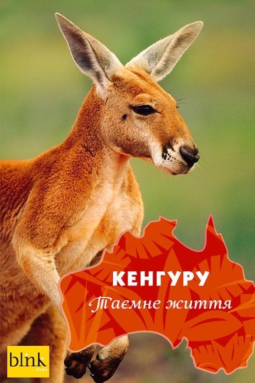 Постер до Кенгуру, таємне життя