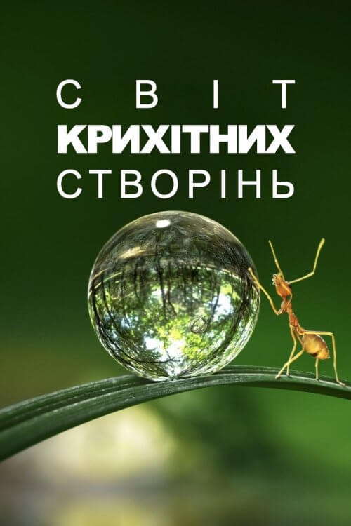 Постер до Крихітний світ / Світ крихітних створінь