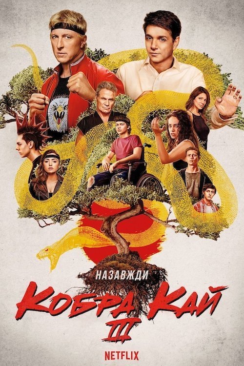 Постер до Кобра Кай