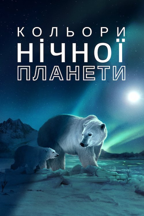 Постер до Кольори нічної планети / Світ ночі у кольорі