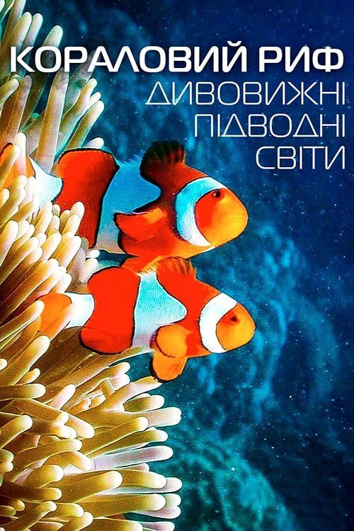 Постер до Кораловий риф: Дивовижні підводні світи