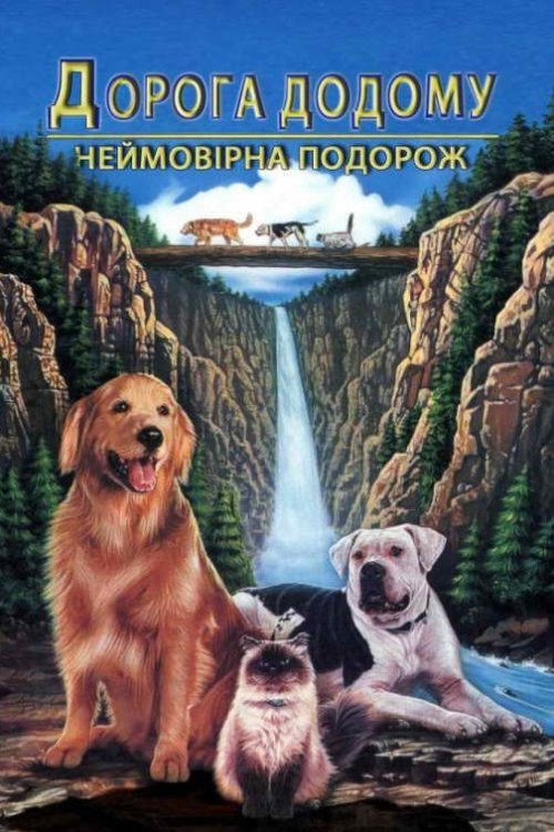 Постер до Дорога додому: Неймовірна подорож