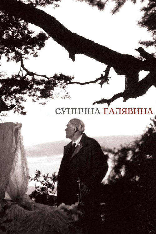 Постер до Сунична галявина