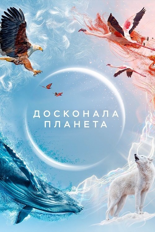 Постер до Досконала планета / Ідеальна планета