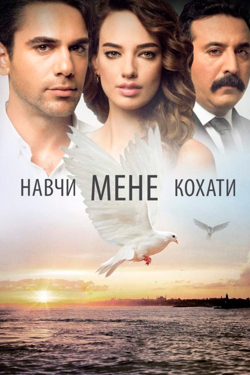 Постер до Навчи мене кохати