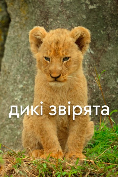 Постер до Дикі звірята