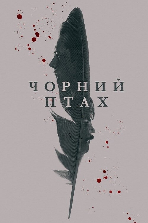 Постер до Чорний Птах