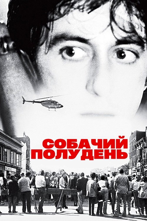 Постер до Собачий полудень