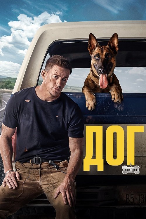 Постер до Дог