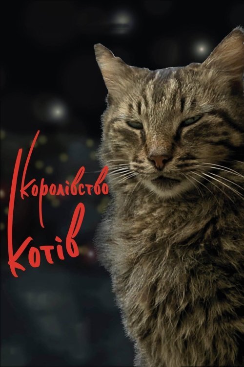 Постер до Королівство котів