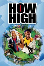 High & Low: The Movie 2 End of Sky (2017) ไฮ แอนด์ โลว์ เดอะมูฟวี่ 2 เอนด์ ออฟ สกาย